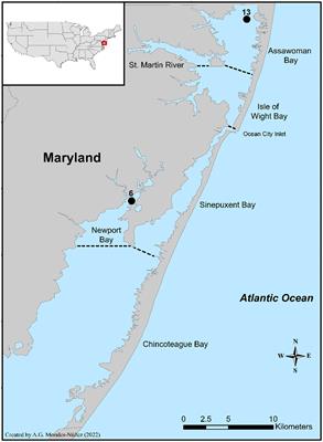 Assessments of Vibrio parahaemolyticus and Vibrio vulnificus levels and microbial community compositions in blue crabs (Callinectes sapidus) and seawater harvested from the Maryland Coastal Bays